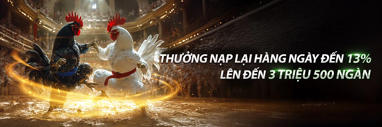Sảnh Đá Gà Trực Tuyến 188bet, 88bet.hiphop